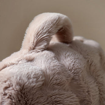 Bedrest Pompom Taupe – Luxe Faux Fur Rugsteunkussen met Pompom (34x50 cm) - Dromen & Wonen